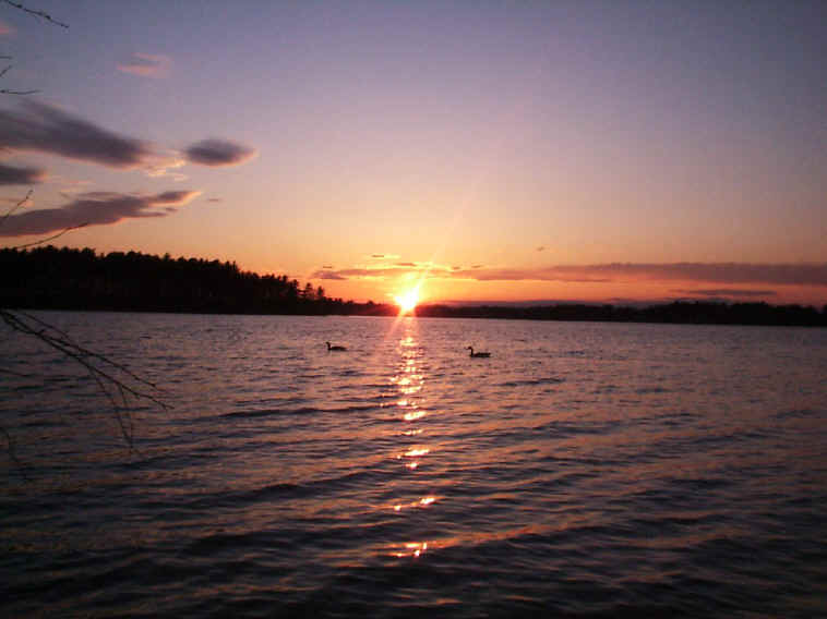 SunsetGeeseCt.jpg (140832 bytes)