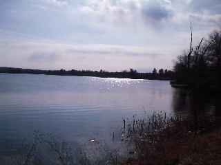 Lake Scene6.jpg (11154 bytes)