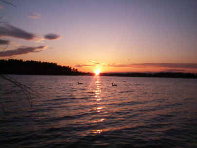 Middle Pond Sunset with Geese.jpg.JPG (140832 bytes)
