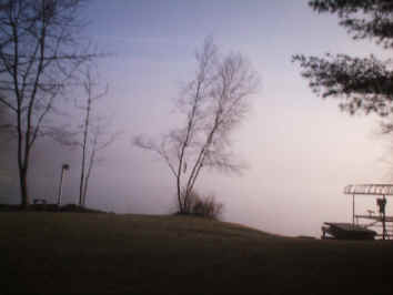 Sunrise Morning fog Birch trees.jpg (111000 bytes)